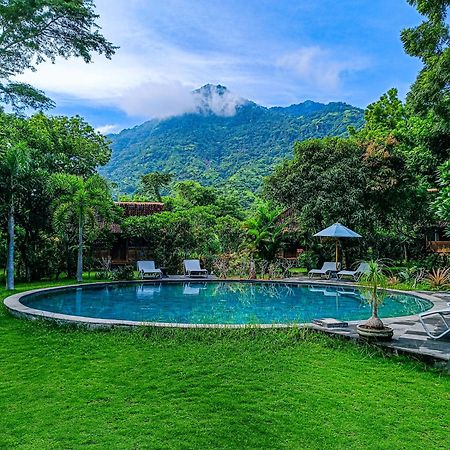 Alaya Ecolodge Pemuteran Exteriér fotografie