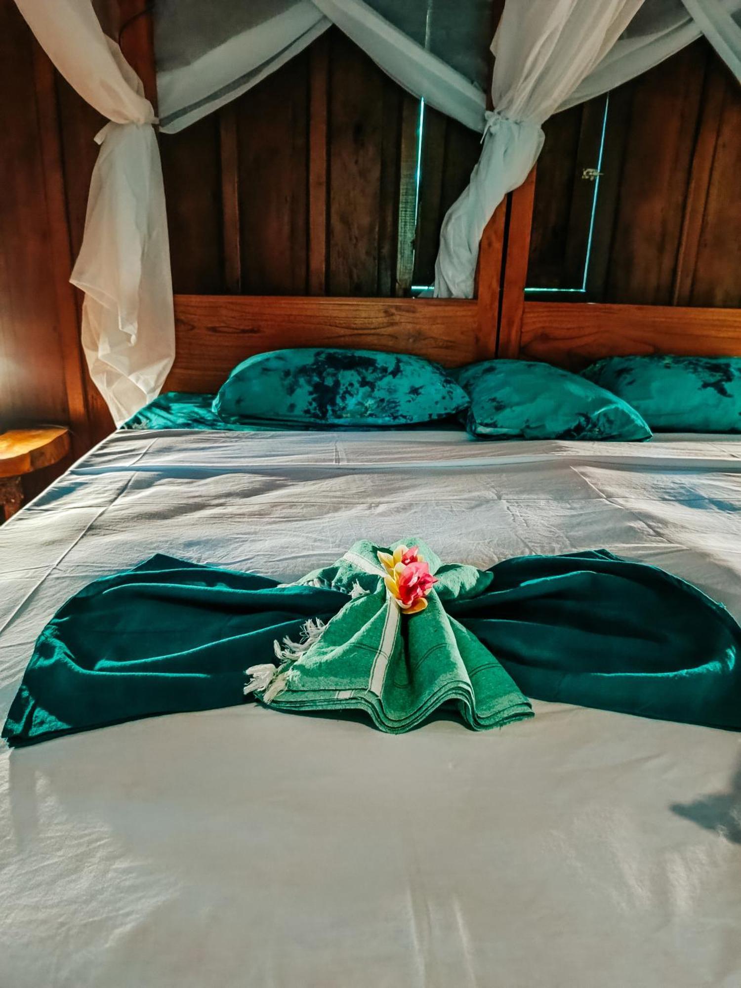 Alaya Ecolodge Pemuteran Exteriér fotografie