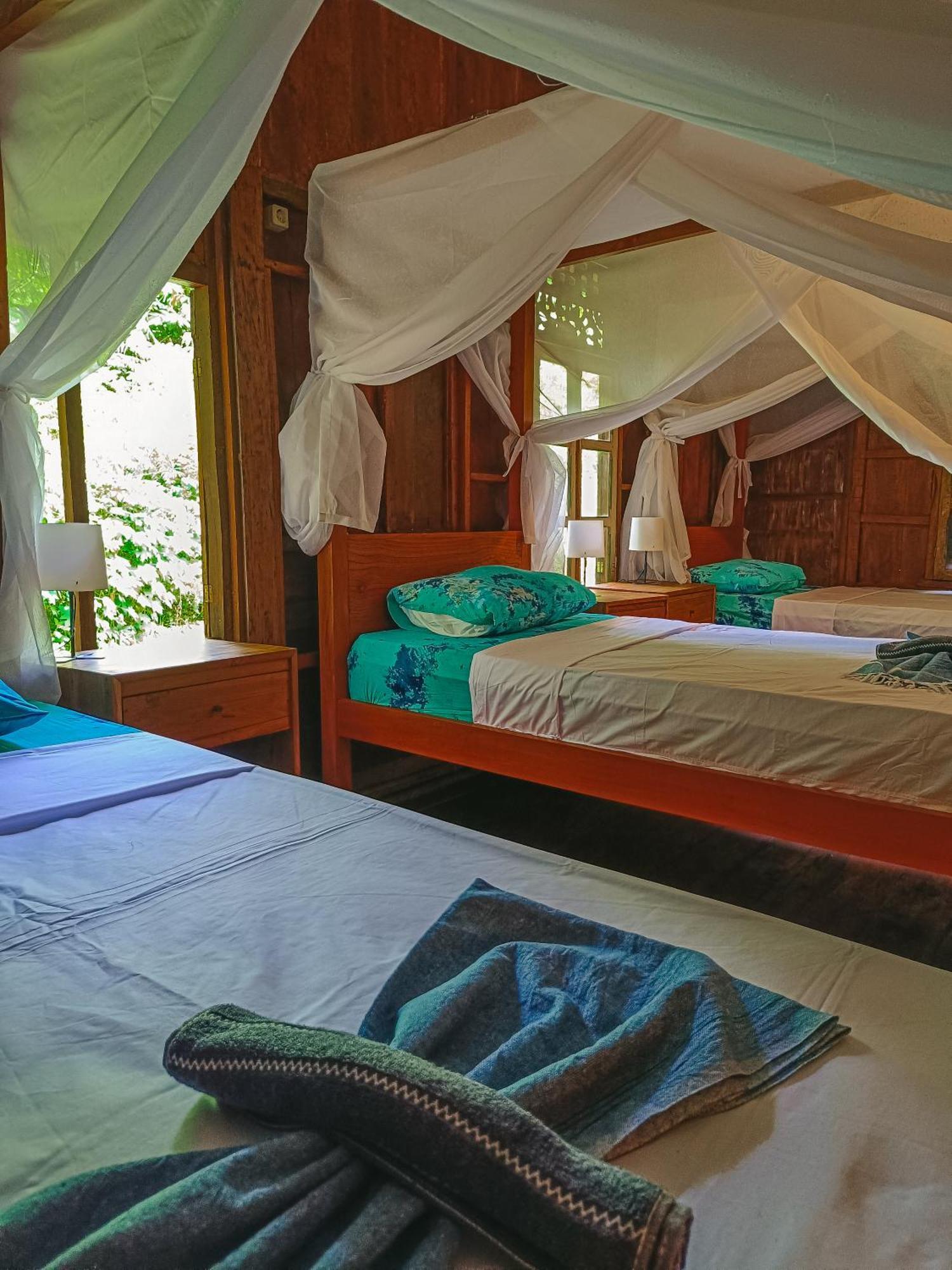 Alaya Ecolodge Pemuteran Exteriér fotografie