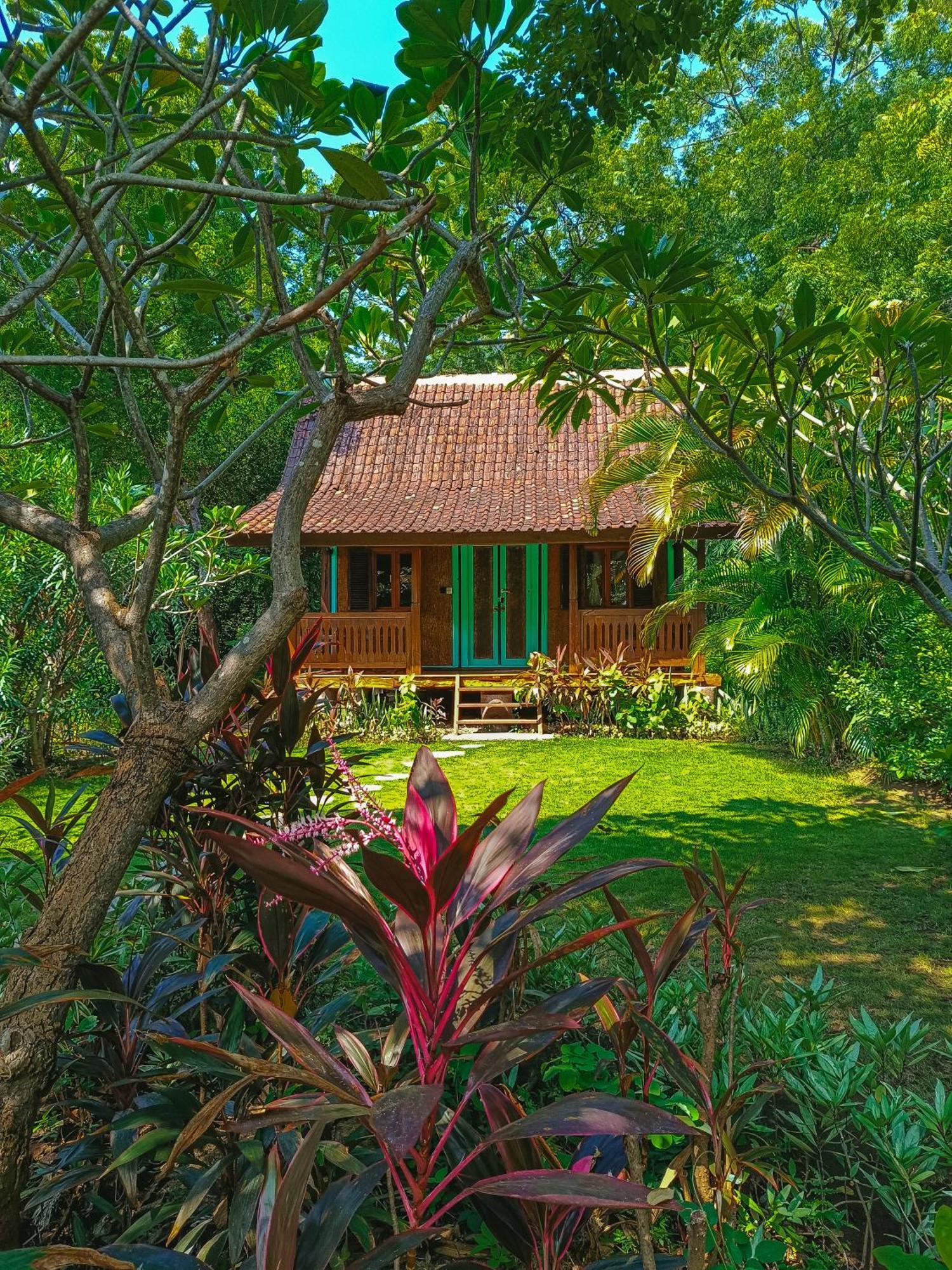 Alaya Ecolodge Pemuteran Exteriér fotografie