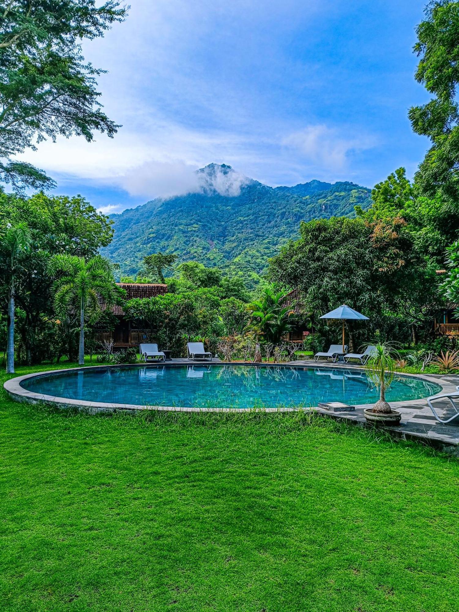 Alaya Ecolodge Pemuteran Exteriér fotografie