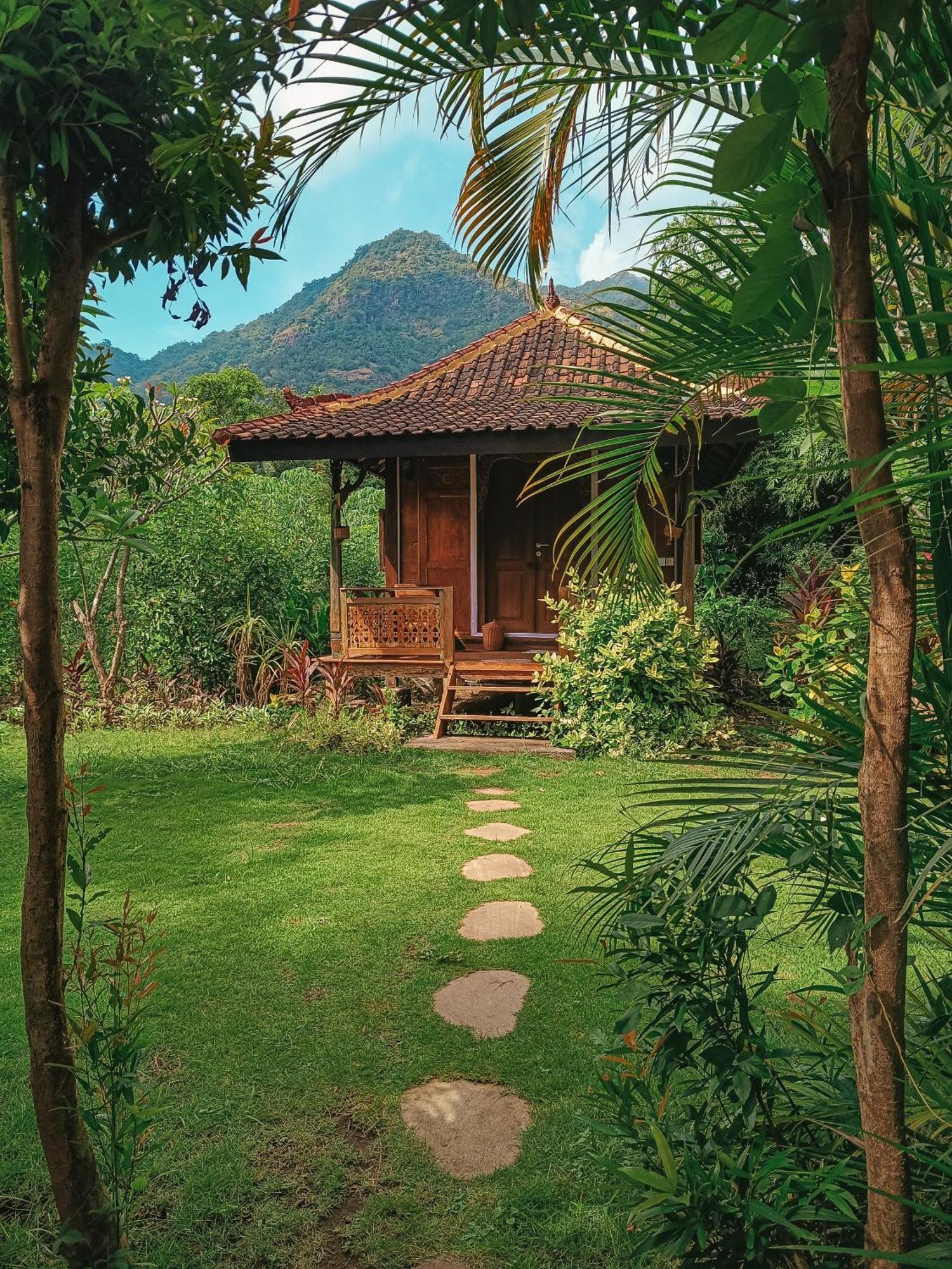 Alaya Ecolodge Pemuteran Exteriér fotografie